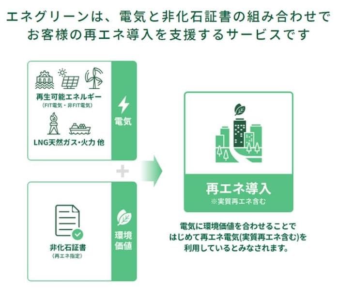 ポーラ、国内34事業所でCO2フリー電力「エネグリーン」の導入開始