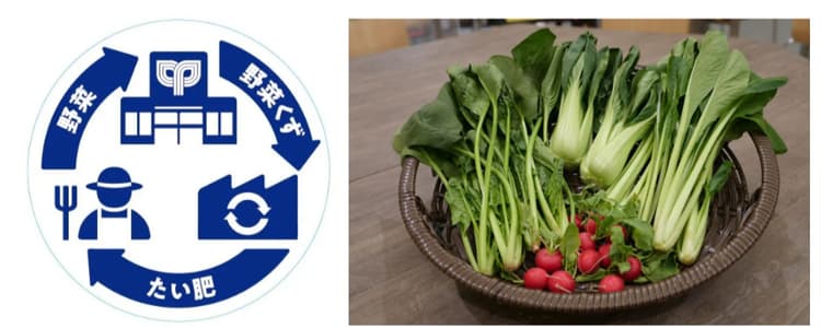 サミット、リサイクル堆肥で栽培した野菜を販売 店舗の野菜くずを再生