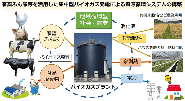 宮崎で家畜ふん尿の「集中型バイオガス発電」建設へ