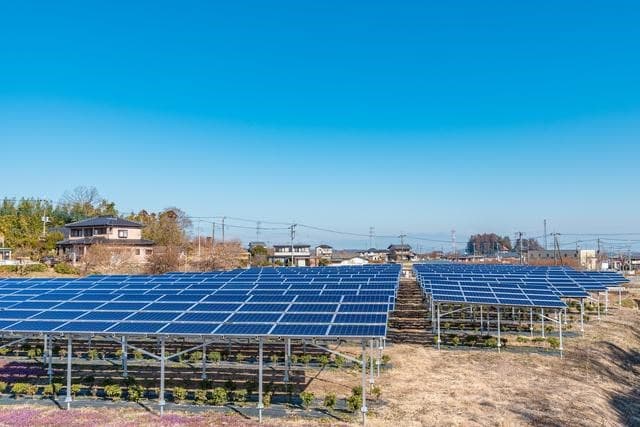 自然電力とマイファーム、ソーラーシェアリングで協業へ
