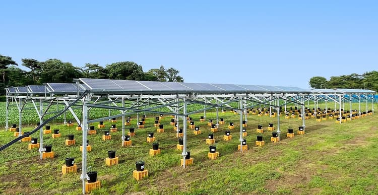 クボタ、東京農工大と「営農型太陽光発電」の共同研究 最適な栽培方法確立へ