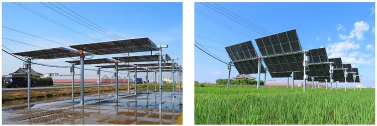 出光、太陽光を追尾するソーラーシェアリング実証実験 イネ栽培と発電両立