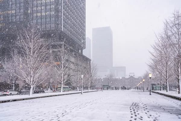最強寒波で記録的大雪、電力の供給力不足と市場高騰で何が起こったのか
