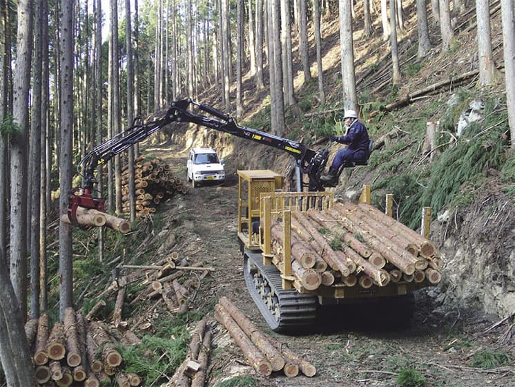 群馬県上野村の小型木質バイオ発電、「地産地活」で12億円の経済効果