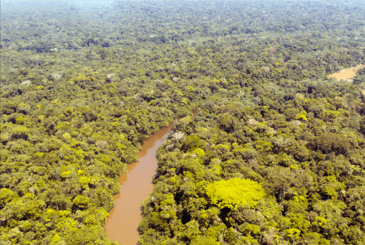 世界銀行とブラジル銀行、アマゾンとセラードの生物群系の持続可能性で協力