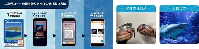 オリックス銀、すみだ水族館でNFTカード配布の実証 SBTの可能性探る