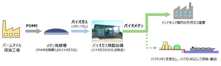 パームオイル工場の廃液でバイオメタン 日揮HDら、インドネシアで検討