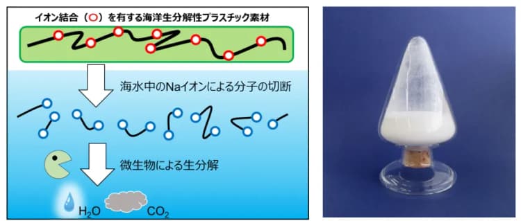 日清紡HD、海洋生分解性プラ素材を開発 樹脂添加剤として早期製品化へ