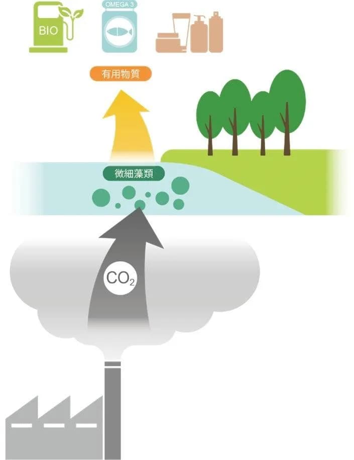 微細藻類「ナンノクロロプシス」で工場から排出されるCO2を有効活用