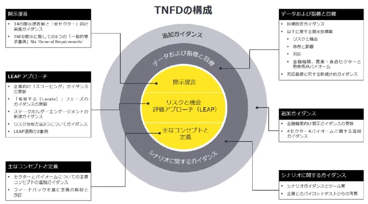 環境省、TNFDの理解を深めるための勉強会を開催へ 限定10社程度
