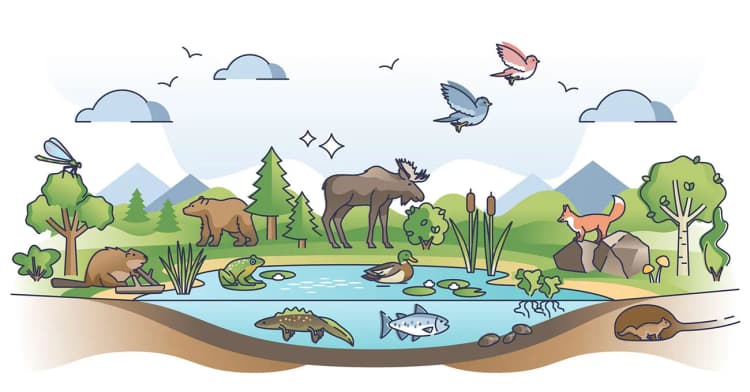 横浜ゴム、生物多様性ガイドラインを改定 ネイチャーポジティブへ向けて