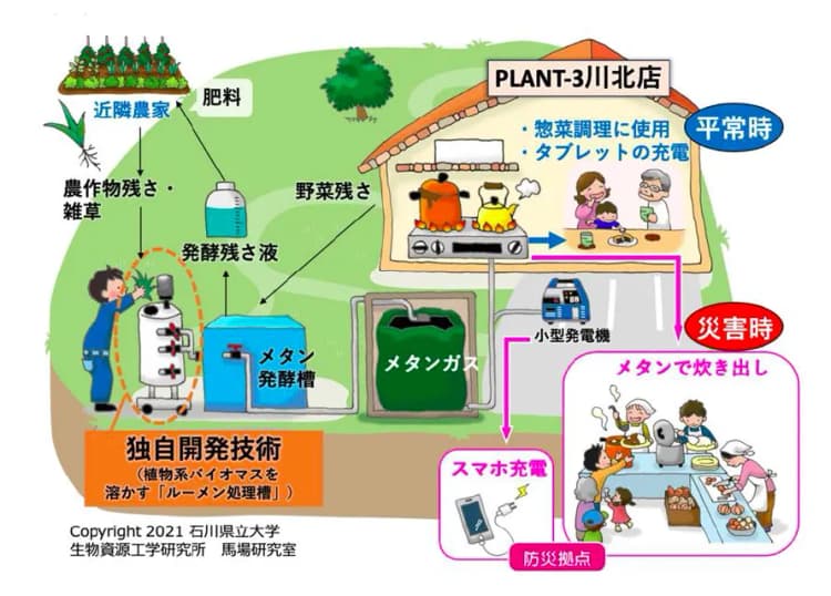 石川県立大発のベンチャー、廃棄野菜からガス・電気を生成 スーパーで実証