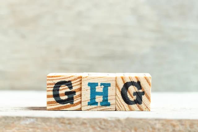 CO2排出量の計測が厳格化 炭素会計では「いかに測るか」がより重要に