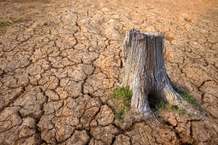 IPCC、27年までにCCUS方法論を発表 第7次の成果物・予定を決定