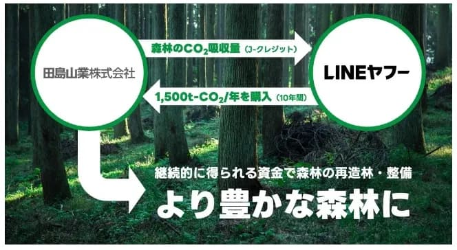 LINEヤフーと田島山業 森林由来のJ-クレジットを10年間売買する契約を締結