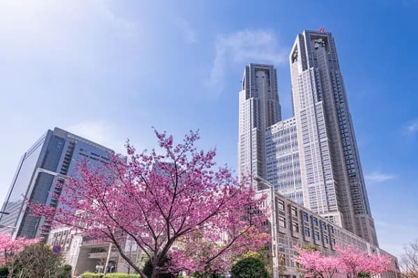 2024年度の公募はどうなる? 東京都の新地産地消再エネ助成金など