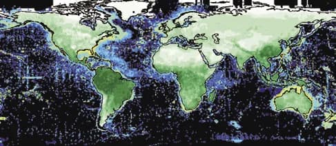 琉球大発スタートアップ、事業による生物多様性へのインパクトを可視化