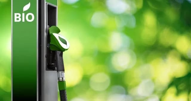 古紙を原料にバイオエタノール製造へ ENEOSとトッパンが実証開始