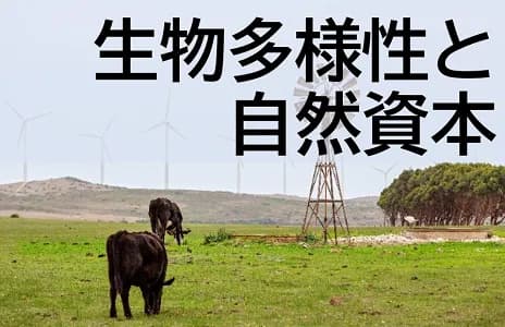 生物多様性への影響・依存度が高い食品・飲料業界のリスクと機会