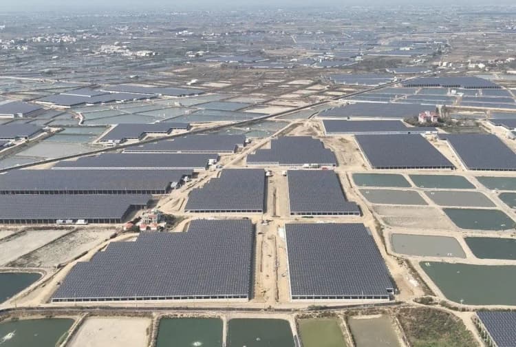 SMFL、台湾の「漁電共生」型・121MW太陽光発電所が竣工