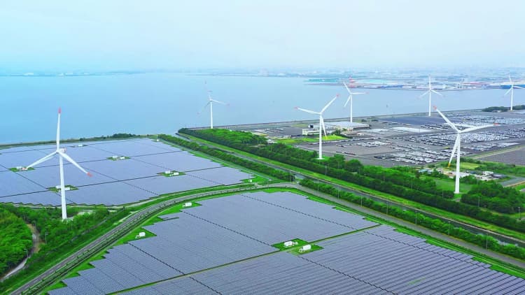 23年は再エネ容量が過去最高、中国がけん引 IRENA発表