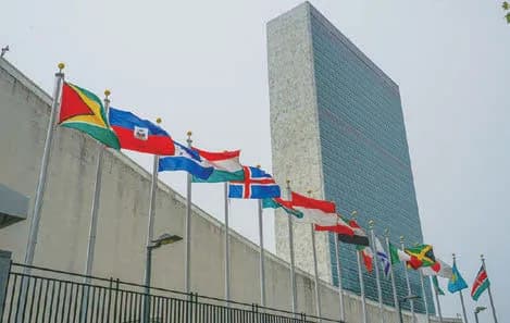 安易なカーボンクレジット利用に警鐘、国際基準に沿った運用を 自然エネ財団