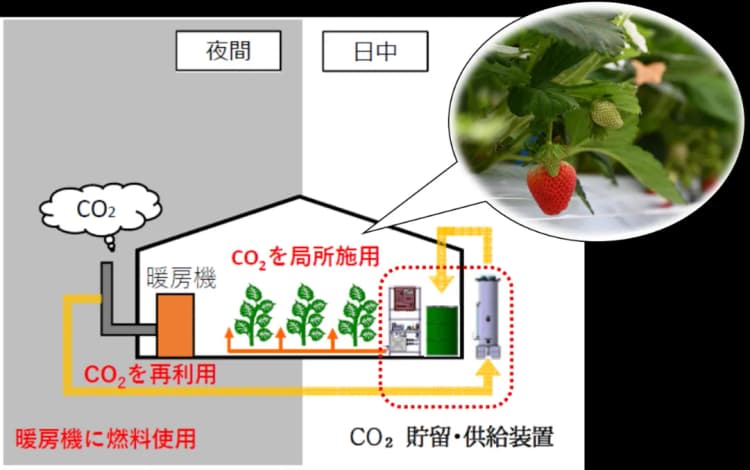 戸田建設、農業ハウス暖房機の排出CO2を有効利用 植物生育促進