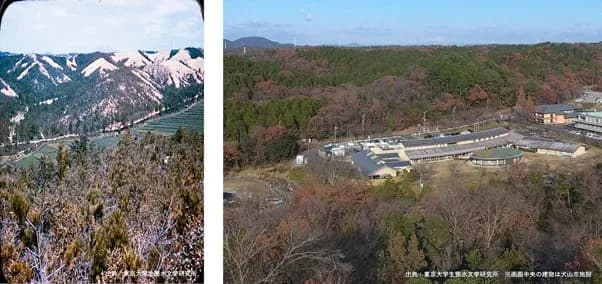 サントリーと東大、愛知県犬山研究林の森林整備で連携