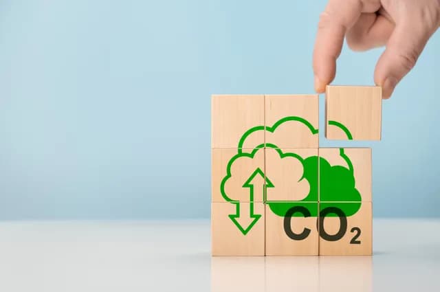 炭素クレジット国際動向からみえる、企業価値を高める「環境価値」 の活用法