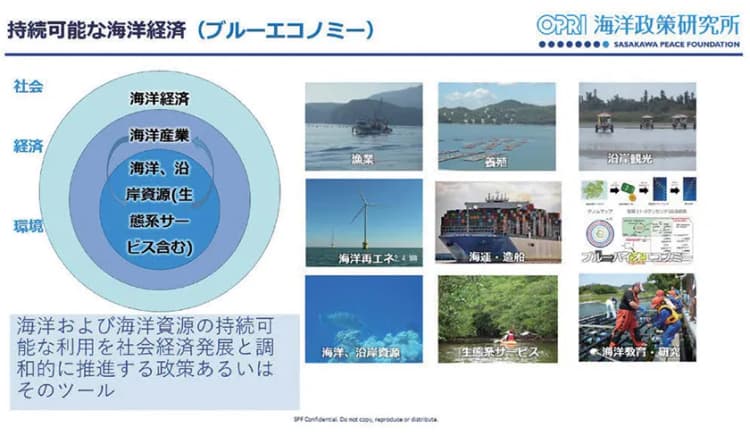 注目集まるブルーエコノミーの世界動向を分析 日本が描く戦略とは