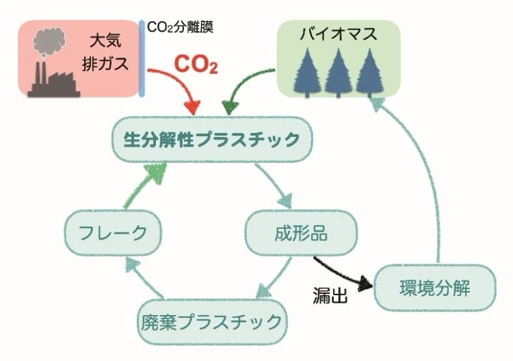京都工芸繊維大学 「環境化学」でプラスチック問題に挑む