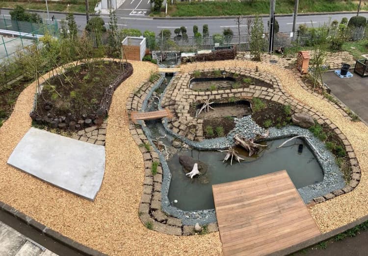 西松建設、技術研究所内にビオトープ整備 生物多様性保全へ
