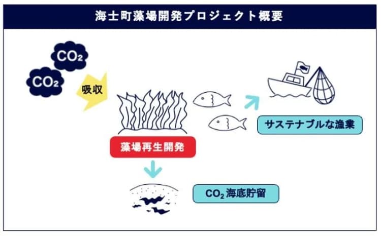 フーディソンと島根県海士町、人工礁を活用した藻場再生実証を6月から開始