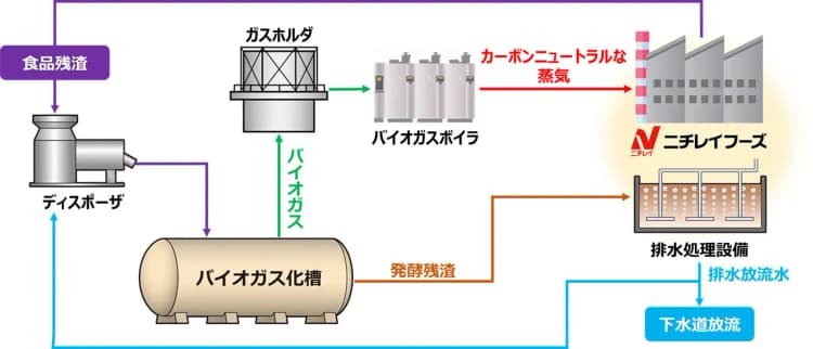 ニチレイフーズ、食品残渣と排水活用でバイオ燃料 CN蒸気を工場内再利用へ