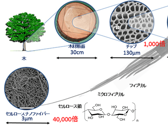 九工大、放置竹林をプラスチックに再生し産学官で竹害を克服へ