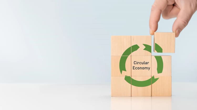 東京都、プラ資源化・食品ロス対策で新規補助金 循環経済に向けた実証も対象