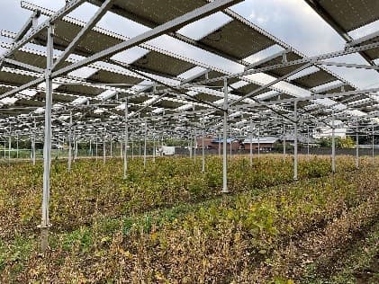 累積設備量が増えていく中での太陽光発電所ビジネスの課題