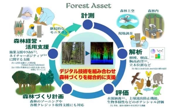 鹿島、DXで企業の森林管理を支援 自律飛行ドローン&高精度データ解析活用