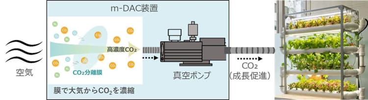 駅の空気中からCO2を回収し植物を栽培 JR西日本などが実証実験
