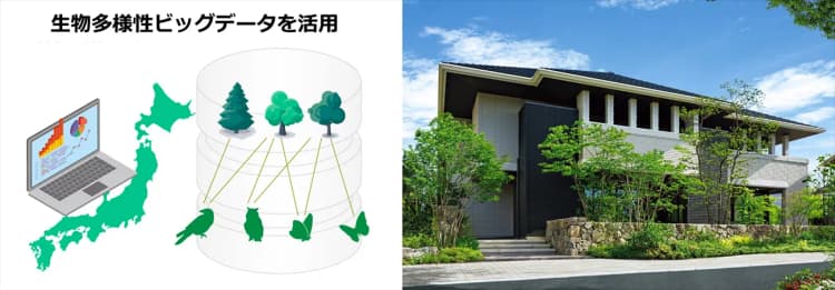 保全効果を最大にする植栽提案へ 積水ハウスらが生物多様性可視化ツール開発