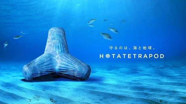 廃棄ホタテ貝殻を活用、砂使用量50%減の「テトラポッド」開発 清水建設ら