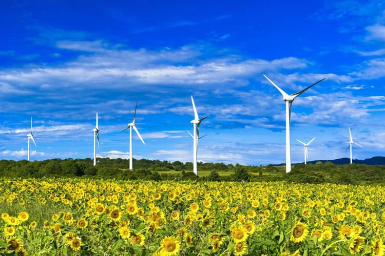 「IEA Windセミナー」を9月に開催 新たにパネルディスカッションで