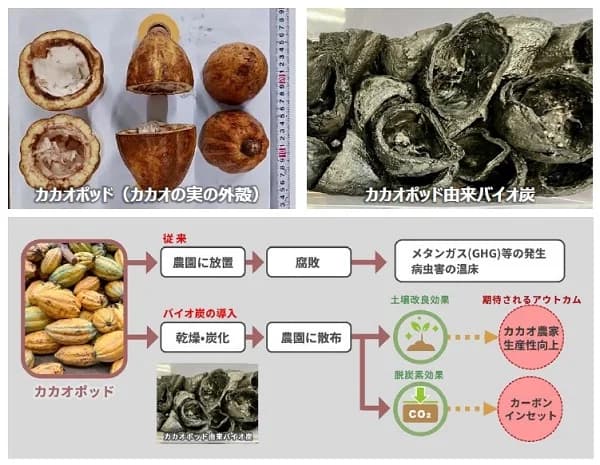 ロッテ、カカオの未利用副産物でバイオ炭 ガーナの土壌改質・脱炭素化を検証