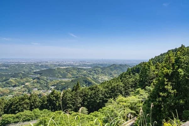 双日ら8社と浜松市、市の森林整備によるCO2オフセットで連携