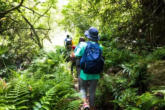 多摩・島しょ地域の環境配慮型旅行を推進 コンテンツ開発で助成金 東京都