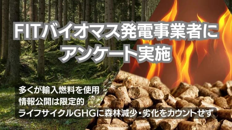 バイオマス燃料の情報公開に課題、発電事業者への調査結果公表 環境系NGO