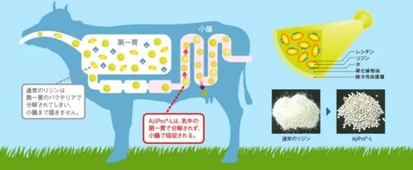 味の素と仏・ダノン 酪農由来のGHG削減に向け協業開始