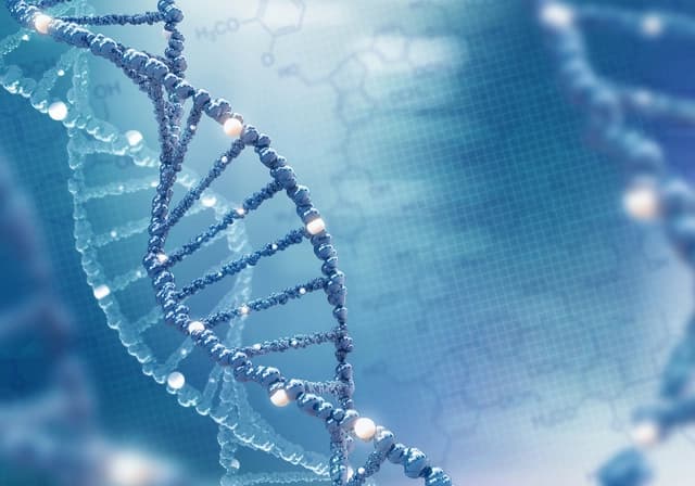 脱炭素に向けた微生物利用の最新動向 CO2で育つ大腸菌など