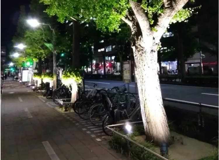 川崎市、地産地消再エネでイチョウ並木をライトアップ 市制100周年記念で