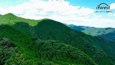 CO2吸収量・生物多様性の定量評価を高度化 アイフォレストらが都内で実証